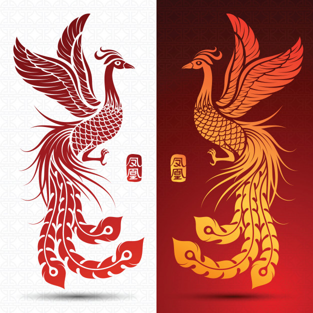 Chinese Phoenix Vector Premium Download 626x626 Chinese Phoenix Vector Premium Download