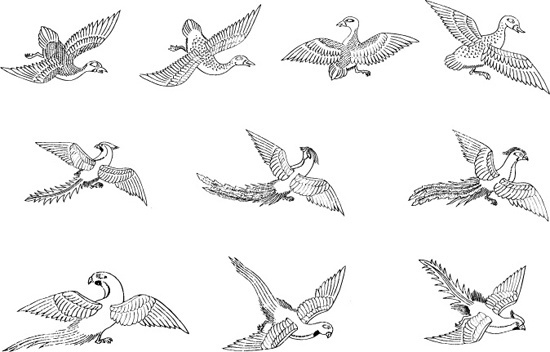 Chinese Phoenix Bird Free Vector Download 550x352 Chinese Phoenix Bird Free Vector Download
