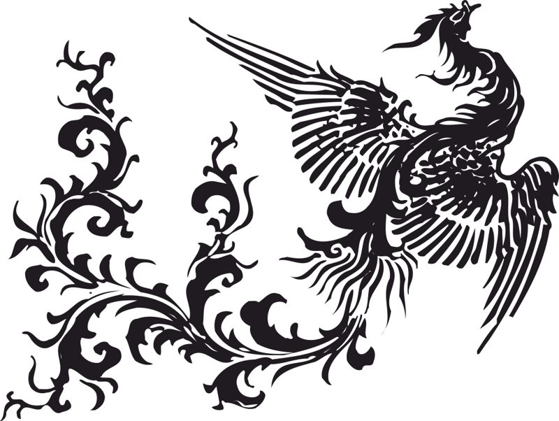 Flying Chinese Phoenix Free Vector Free Download Vector Graphic Art 800x602 Flying Chinese Phoenix Free Vector Free Download Vector Graphic Art