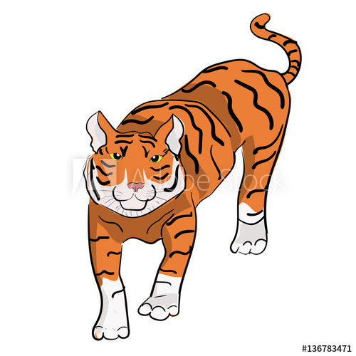500x500 Vector Hand Drawn Tiger Chinese New Year Symbol Can Be Used