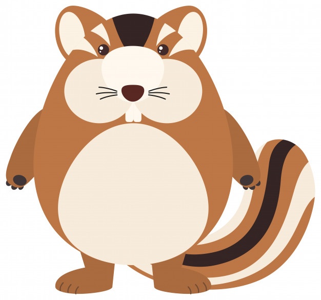 626x585 Chipmunk Vectors, Photos And Free Download