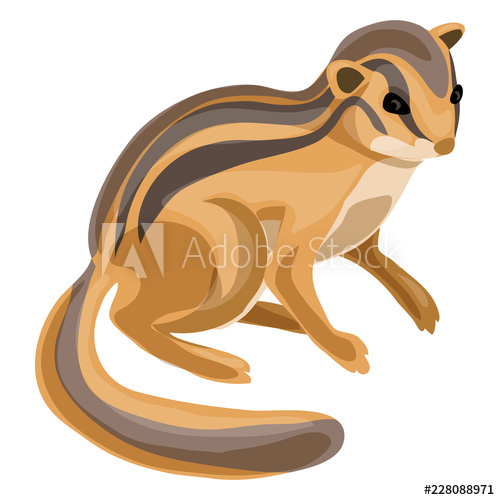 500x500 Chipmunk Icon Cartoon Of Chipmunk Vector Icon For Web Design