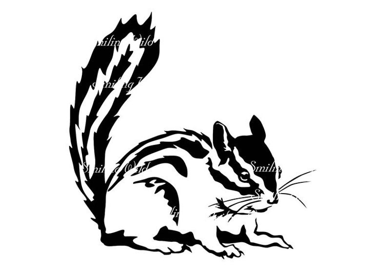 794x562 Chipmunk Clipart Printable Chipmunk Vector Graphic Art Etsy
