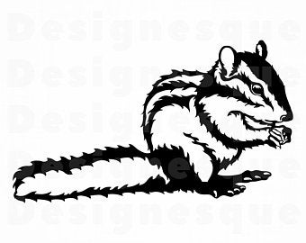 340x270 Chipmunk Vector Etsy