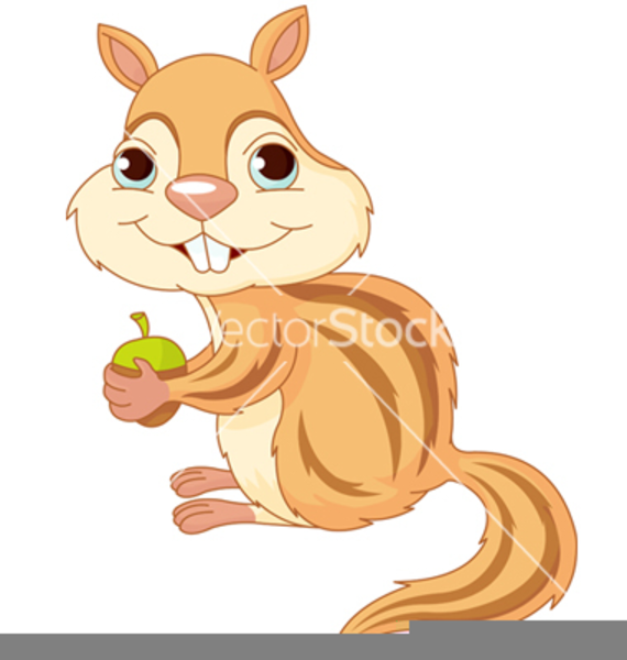 570x600 Cliparts For Free Download Chipmunk Clipart Nut Vector And Use