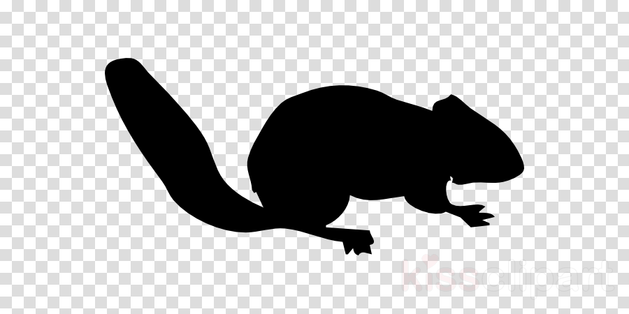 900x450 Download Chipmunk Vector Clipart Chipmunk Squirrel