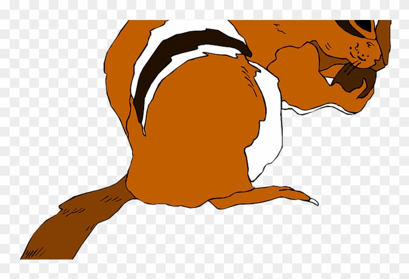 840x572 Squirrel Vector Graphics