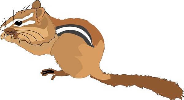 600x326 Chipmunk Free Vector In Open Office Drawing