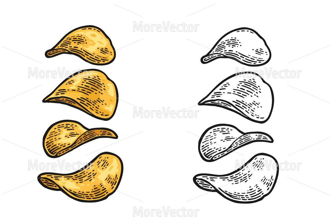 1160x772 Potato Chips Vector Engraving