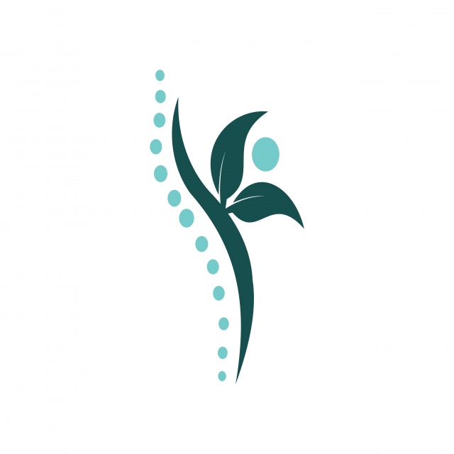 640x640 Creative Chiropractic Concept Design Template, Leaf, Botany, Icon