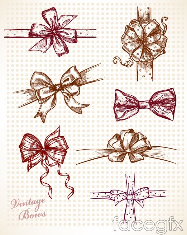 600x755 Beautiful Hand Painted Bow Vector Crafty Bow Vector, How