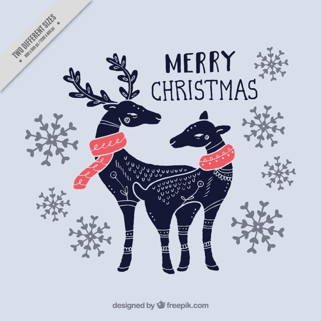 626x626 Christmas Deer Vectors, Photos And Free Download