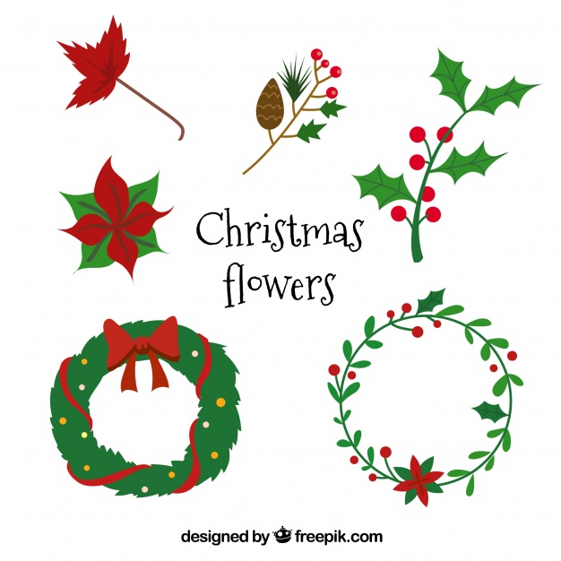626x626 Set Of Poinsettias And Other Christmas Elements Vector Free Download
