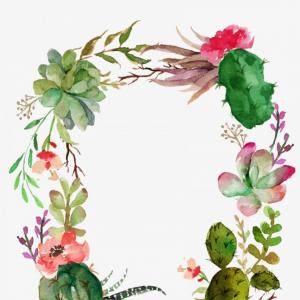 300x300 Set Christmas Lights Garland Vector Decoration Hoodamathrun