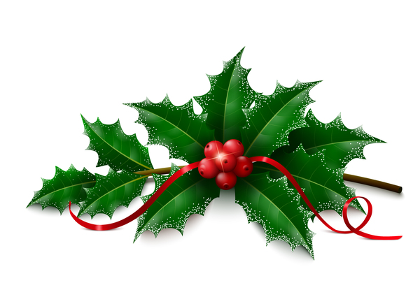 Christmas Holly On White Background Vectors Free Download 600x425 Christmas Holly On White Background Vectors Free Download
