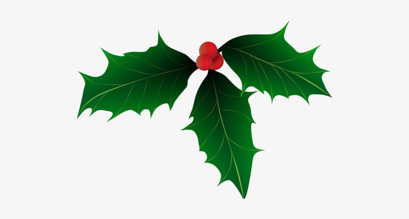 Christmas Holly Vector At Vectorified Com Collection Of Christmas Holly Vector Free For