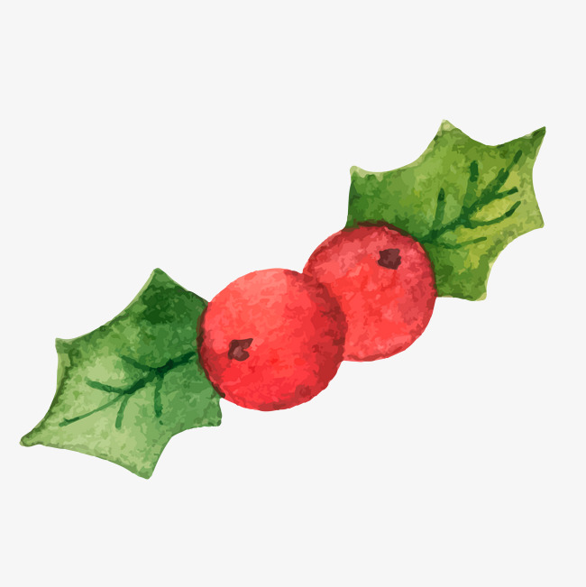 Vector Illustration Christmas Holly, Chr 650x651 Vector Illustration Christmas Holly, Chr
