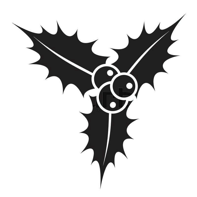 Christmas Holly Berry Holly Berry Leaves Isolated Vector 800x800 Christmas Holly Berry Holly Berry Leaves Isolated Vector