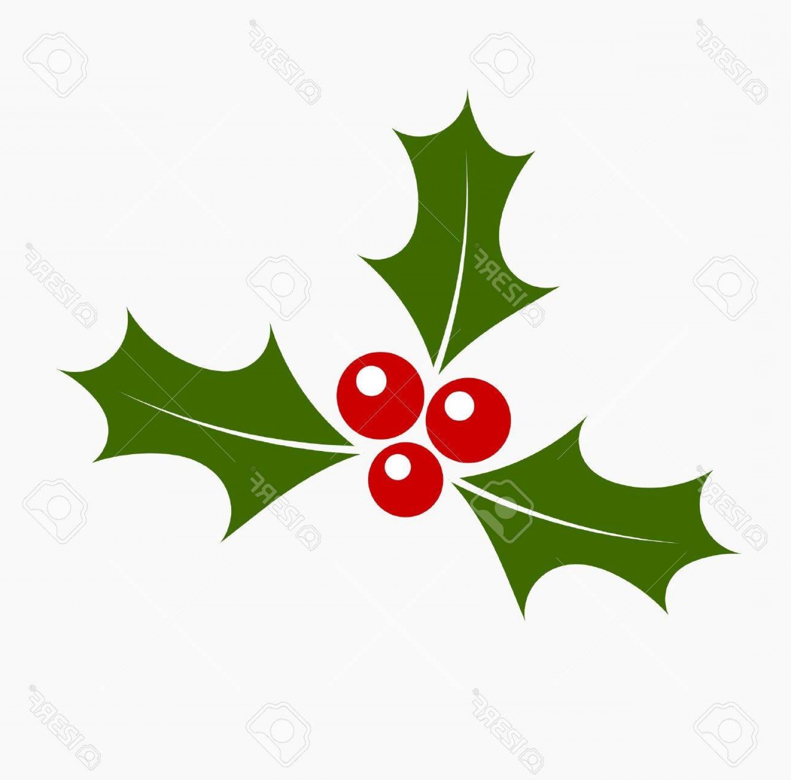 Christmas Holly Vector Catchsplace 1560x1539 Christmas Holly Vector Catchsplace
