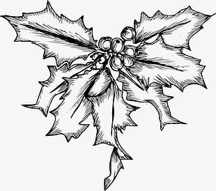 310x274 Christmas Holly With Black Background Vector Free