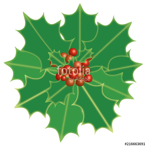 500x500 Holly Berry Christmas Theme Symbolic Plants Holly, Vector Format