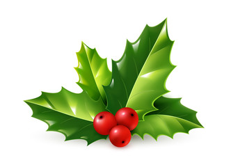 Christmas Holly Vector Free at Vectorified.com | Collection of ...