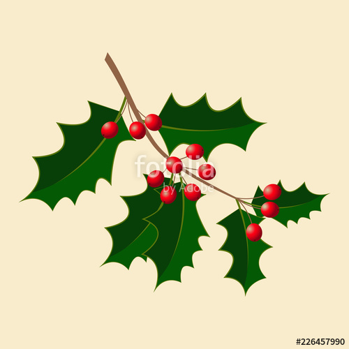500x500 Holly Vector Illustration Branch With Berries New Year