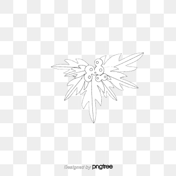 360x360 Christmas Holly Png, Vector, And Clipart With Transparent
