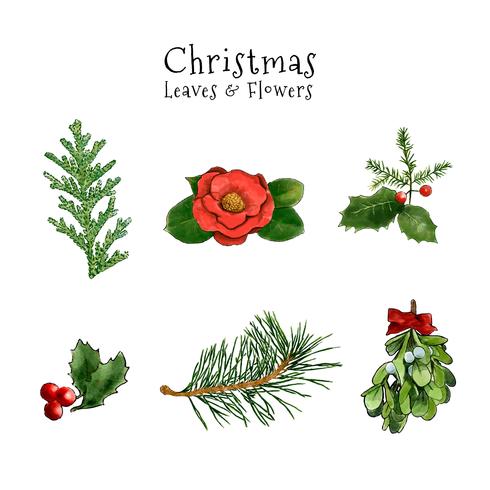 490x490 Cute Christmas Leaves And Flowers Collection