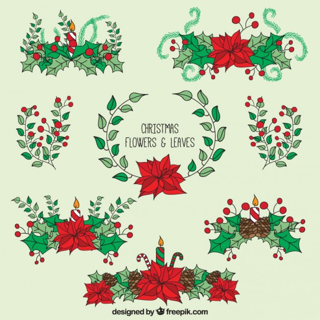 626x626 Hand Drawn Christmas Flowers And Leaves Vector Free Download