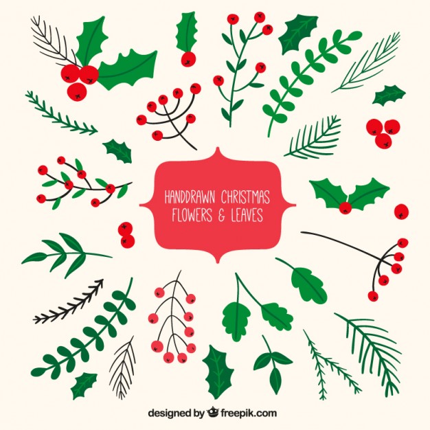 626x626 Hand Drawn Christmas Leaves Vector Free Download