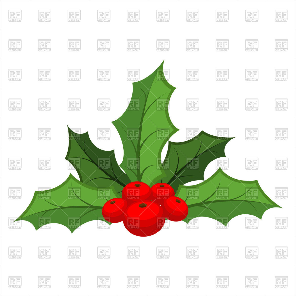 1200x1200 Mistletoe On White Background, Christmas Red Berry With Green