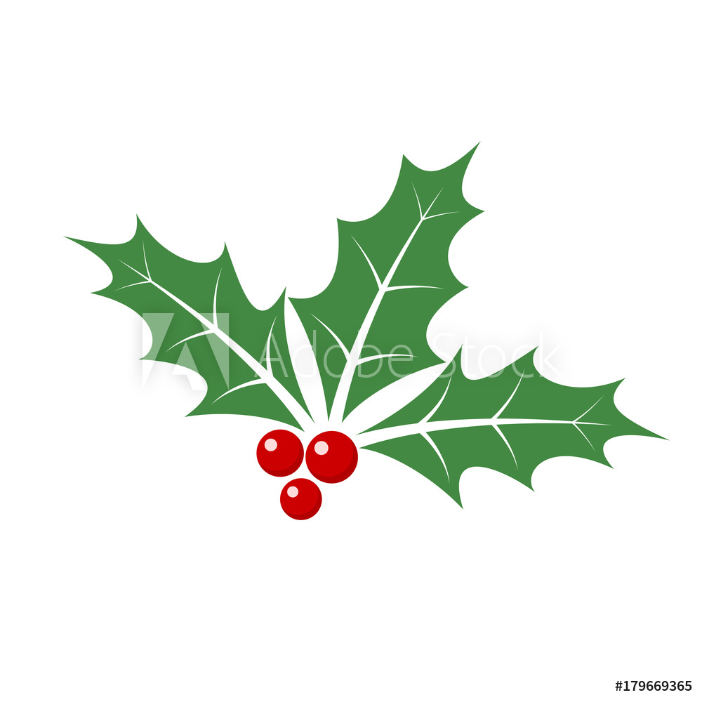 1000x1000 Photo Art Print Christmas Holly Berry Leaves Vector