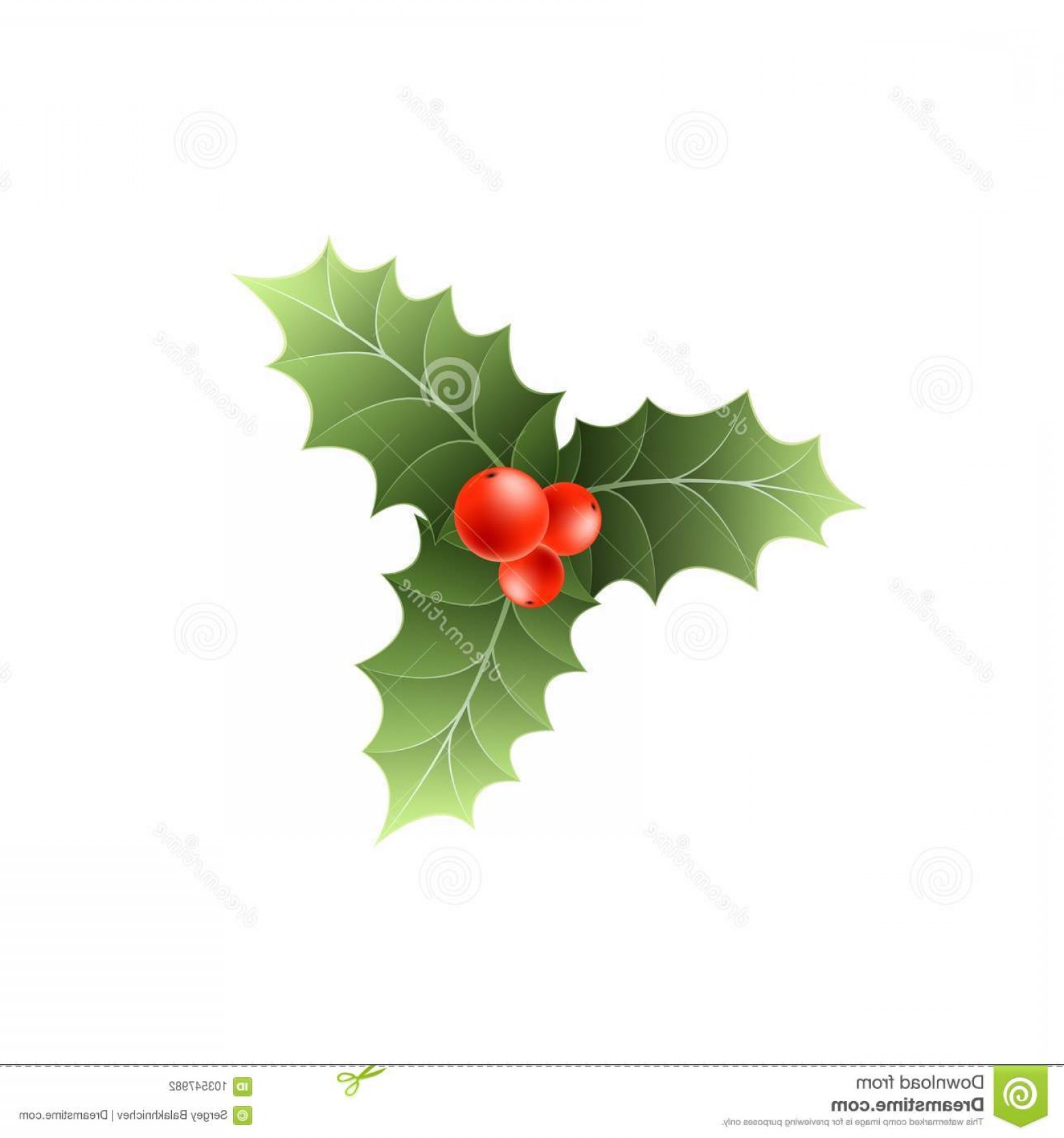 1560x1668 Snow Leaf Vector Hoodamathrun