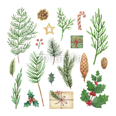 400x400 Watercolor Vector Christmas Set With Evergreen Coniferous Tree