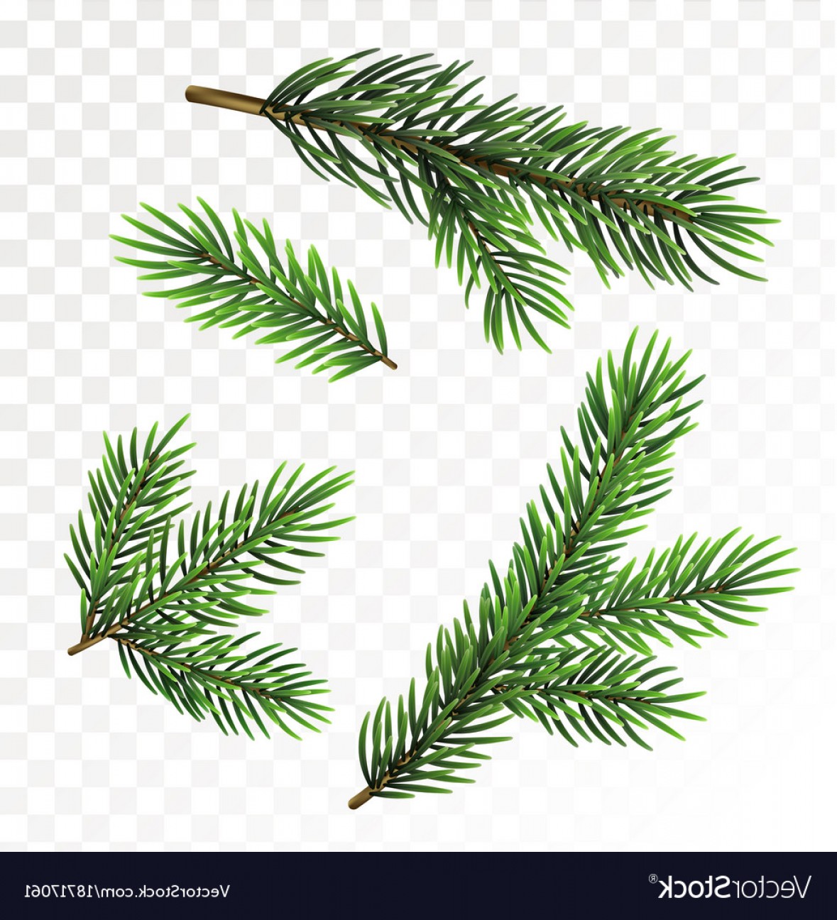 Christmas Tree Branch Vector at Collection of