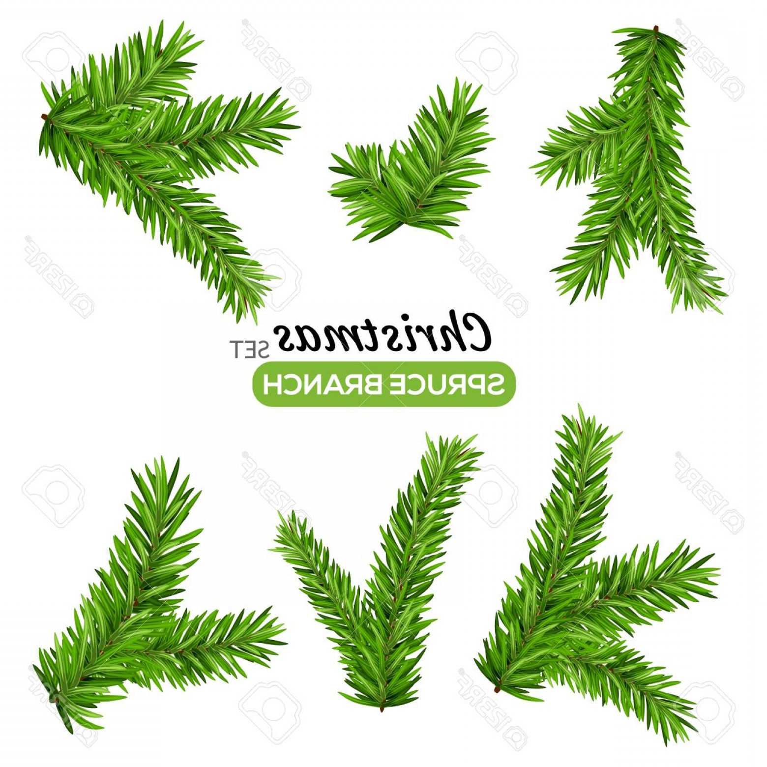 Download Christmas Tree Branch Vector at Vectorified.com ...