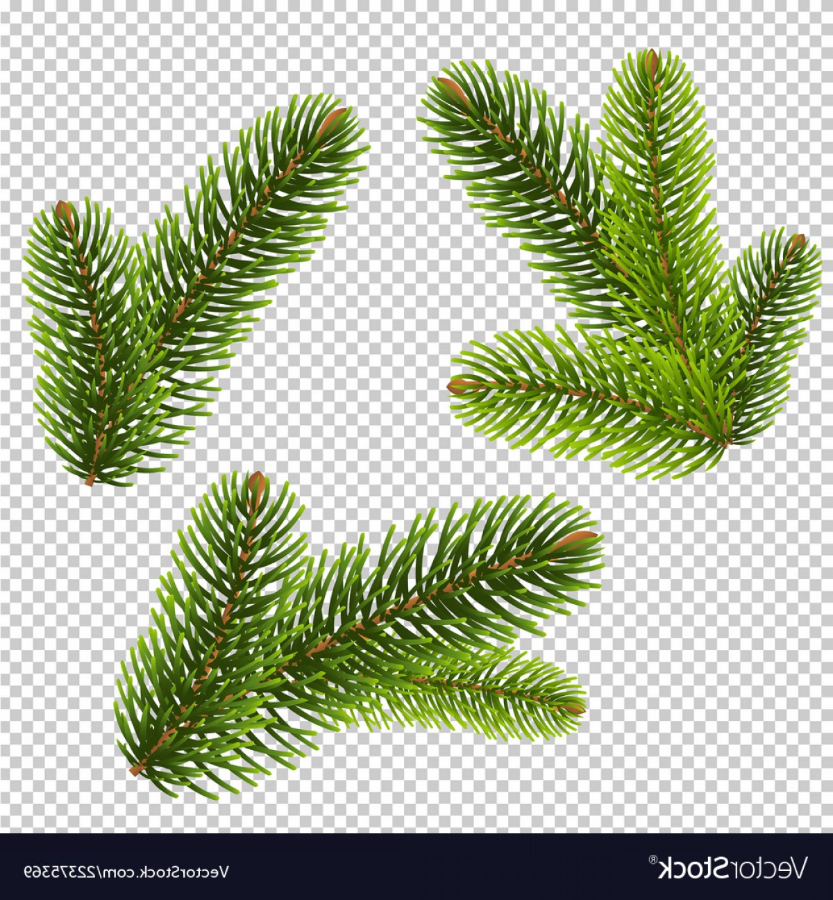 1200x1296 Tree Limb Transparent Background Vector Cultracing
