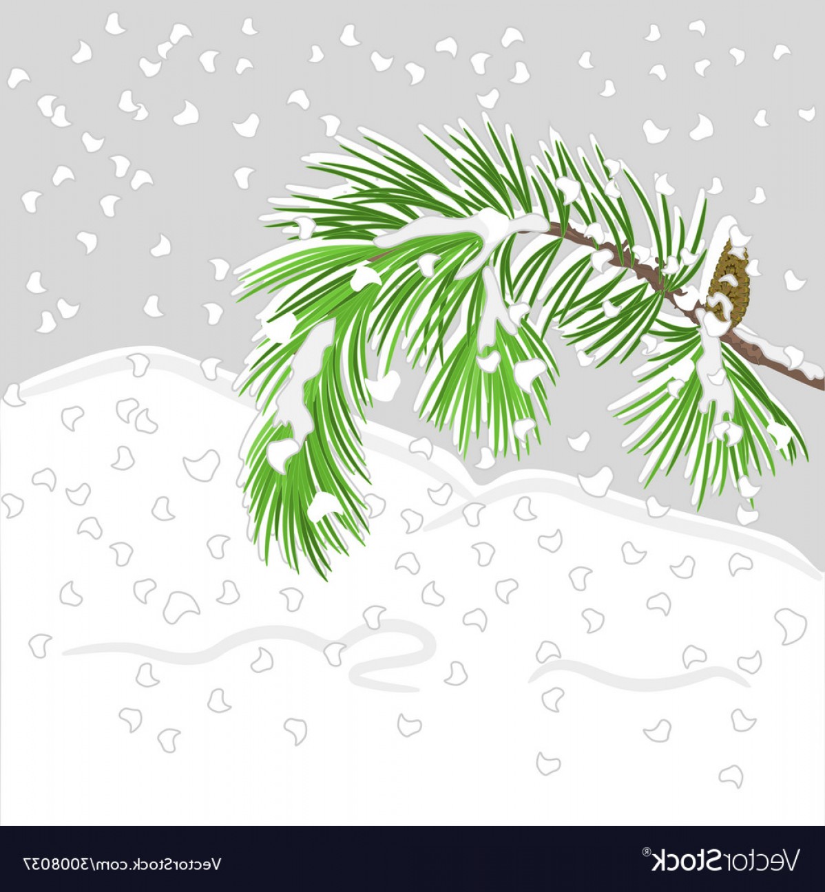 1198x1296 Branch Of Christmas Tree With Snow Pine Branch Vector Geekchicpro