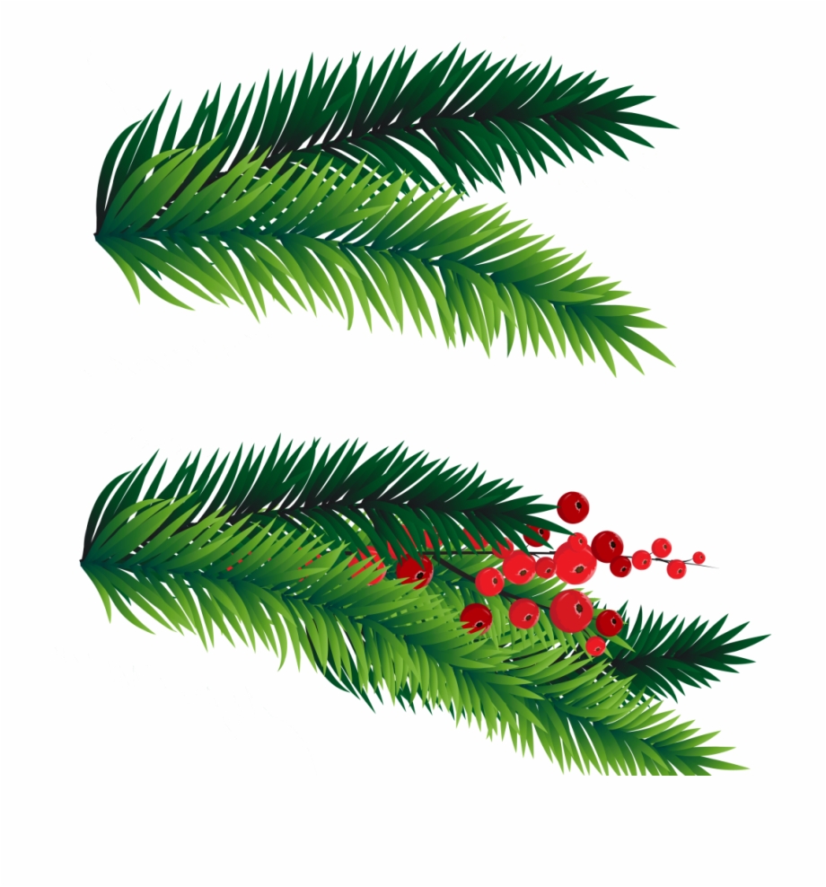 920x988 Christmas Branch Vector Png, Transparent Png Download For Free