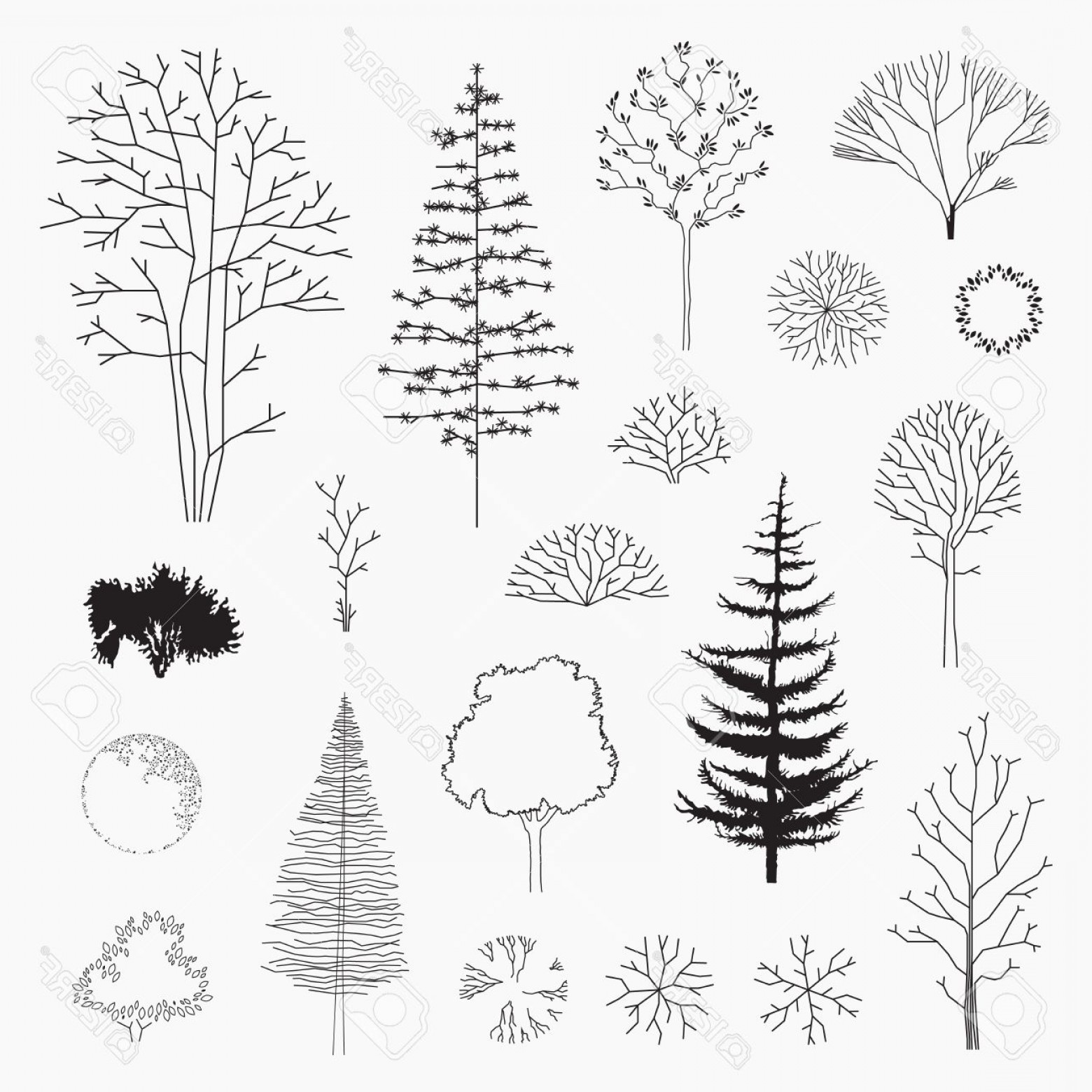 1560x1560 Photostock Vector Set Of Vector Abstract Trees Line Design Un