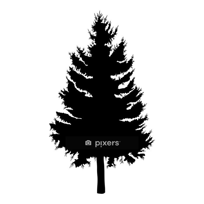 700x700 Hand Drawn Fir Tree Vector Illustration Silhouette Of Black Pine
