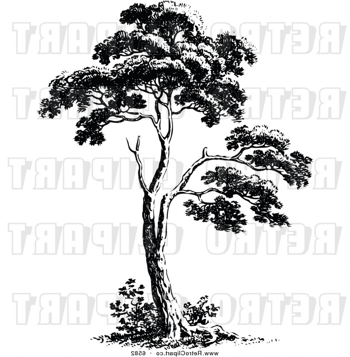 1228x1252 Christmas Tree Vector Black And White Soidergi
