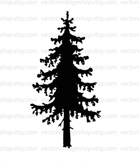 570x667 Spruce Tree Vector Clipart Silhouette Clip Art Commercial Etsy