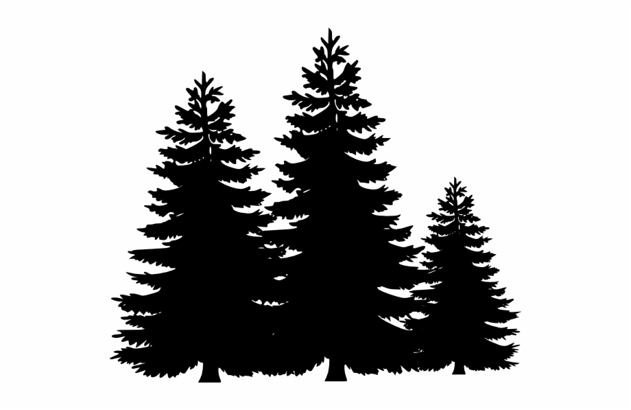 920x597 Black And White Pine Tree Clipart Pine Trees Clip
