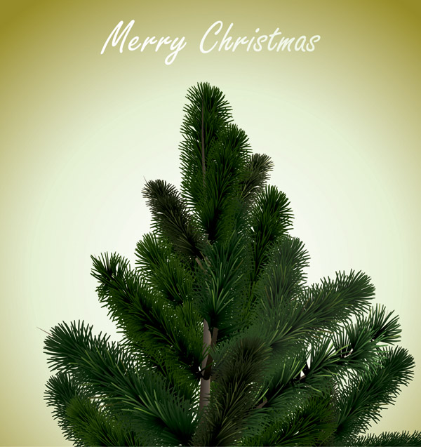 600x637 Local Christmas Tree