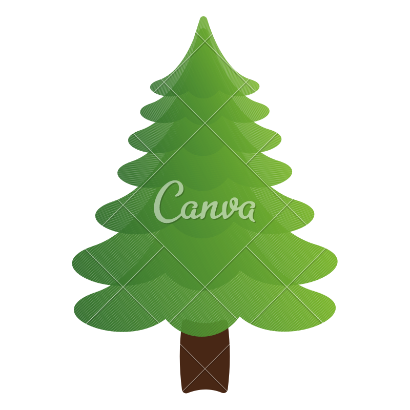 800x800 Isolated Christmas Tree Vector