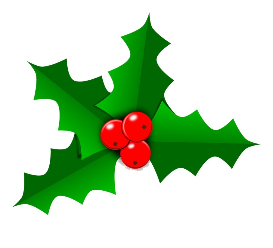 Holly Leaf Images Free Christmas Vector Clipart Transparent Png 880x800 Holly Leaf Images Free Christmas Vector Clipart Transparent Png