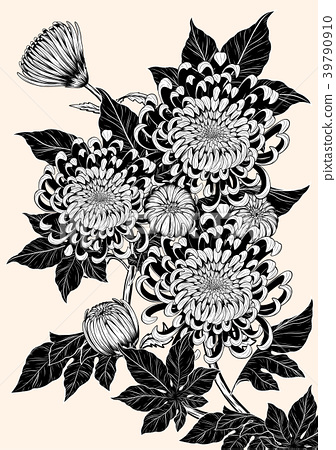 336x450 Chrysanthemum Vector On Brown Background