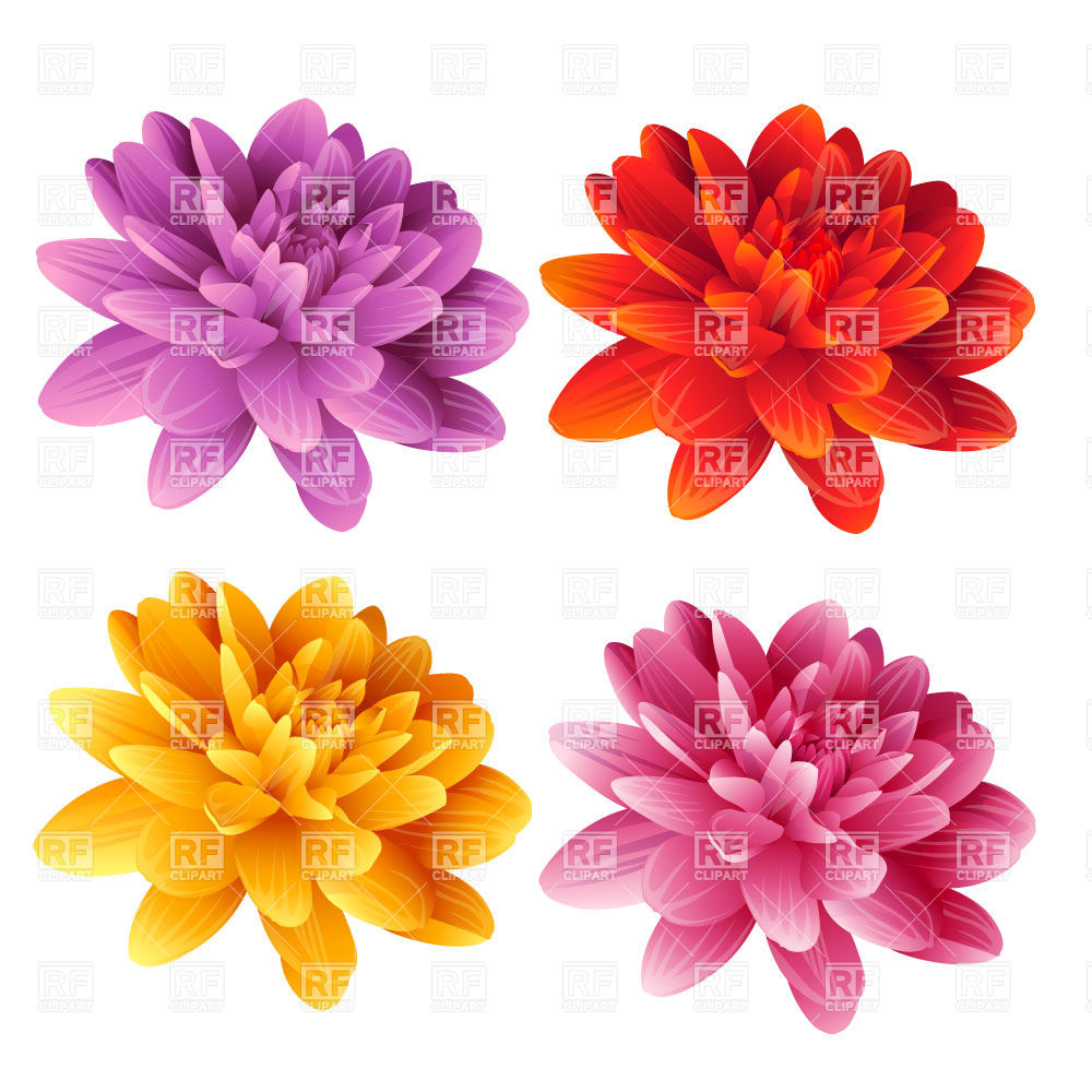 1000x1000 Detailed Colorful Flowers